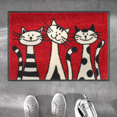 Kleen-Tex придверный коврик Three Cats 50х75 см цена и информация | Придверные коврики | kaup24.ee