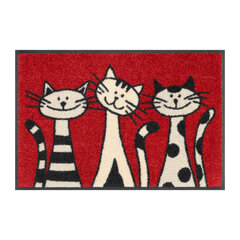 Kleen-Tex uksematt Three Cats hind ja info | Uksematid | kaup24.ee