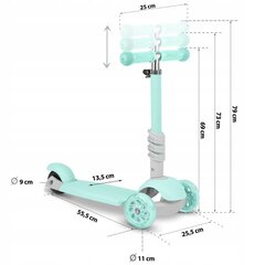 Tõukeratas lastele RicoKids Buggy 765301 цена и информация | Самокаты | kaup24.ee