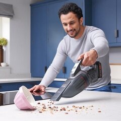 Black & Decker Dustbuster hind ja info | Tolmuimejad | kaup24.ee