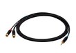 SSQ 3,5 mm/2xRCA, 2 m hind ja info | Kaablid ja juhtmed | kaup24.ee