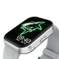 Black Shark BS-GT Neo Silver hind ja info | Nutikellad (smartwatch) | kaup24.ee