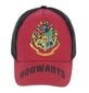 Harry Potteri pesapallimüts, must hind ja info | Poiste mütsid, sallid, kindad | kaup24.ee