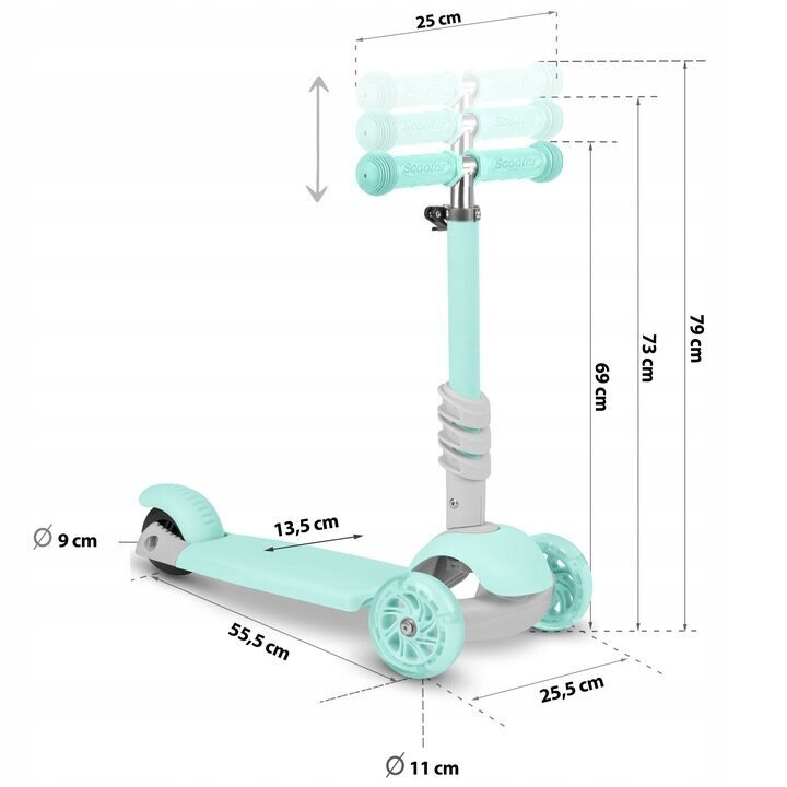 Tõukeratas lastele RicoKids Buggy 765301, sinine цена и информация | Tõukerattad | kaup24.ee