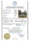 Batuut Funfit 312 cm FT 10 цена и информация | Batuudid ja batuudi varuosad | kaup24.ee