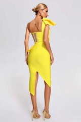Kleit naistele Spak, kollane hind ja info | Kleidid | kaup24.ee