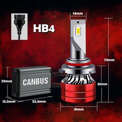 Pirnid Hb4 Led Xstorm 120W 22000Lm цена и информация | Автомобильные лампочки | kaup24.ee