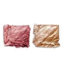 Põsepuna palett Revolution Pro Eternal Rose Cheek Palette Pink Lust, 10 g цена и информация | Бронзеры (бронзаторы), румяна | kaup24.ee