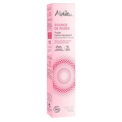 Näovedelik Hydra-Plumping Fluid niisutav, 40 ml цена и информация | Сыворотки для лица, масла | kaup24.ee