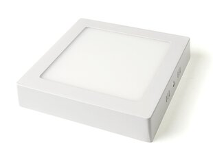 Koloreno LED paneel, 12 W, külm valge hind ja info | Süvistatavad ja LED valgustid | kaup24.ee