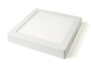 Koloreno LED-paneel, 18 W, neutraalne valge hind ja info | Süvistatavad ja LED valgustid | kaup24.ee