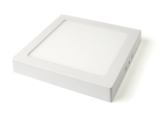 Koloreno LED-paneel, 18 W, lahe valge hind ja info | Süvistatavad ja LED valgustid | kaup24.ee