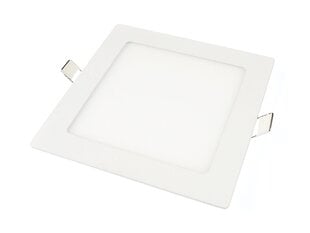 Koloreno LED paneel, 12 W, külm valge цена и информация | Монтируемые светильники, светодиодные панели | kaup24.ee