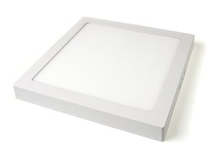 Koloreno накладная панель LED Square Modern 12W цена и информация | Монтируемые светильники, светодиодные панели | kaup24.ee