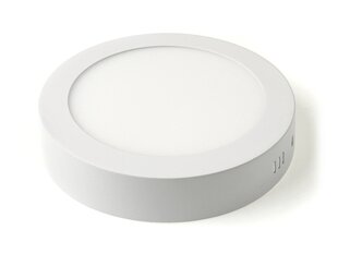 Koloreno LED paneel, 12 W, soe valge цена и информация | Монтируемые светильники, светодиодные панели | kaup24.ee