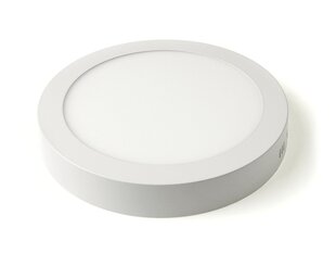 Koloreno LED paneel, 18 W, soe valge цена и информация | Монтируемые светильники, светодиодные панели | kaup24.ee