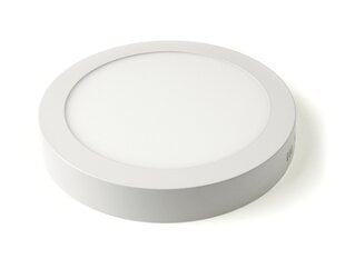 Koloreno LED-paneel, 18W, neutraalne valge цена и информация | Монтируемые светильники, светодиодные панели | kaup24.ee