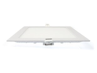 Koloreno LED-paneel, 18 W, neutraalne valge цена и информация | Монтируемые светильники, светодиодные панели | kaup24.ee