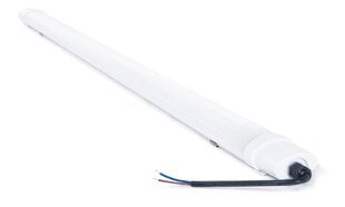 Koloreno LED-paneel, 36 W, neutraalne valge цена и информация | Монтируемые светильники, светодиодные панели | kaup24.ee