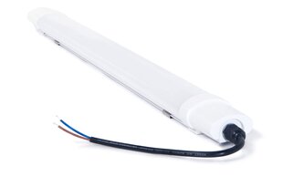Koloreno LED-paneel, 18 W, lahe valge цена и информация | Монтируемые светильники, светодиодные панели | kaup24.ee