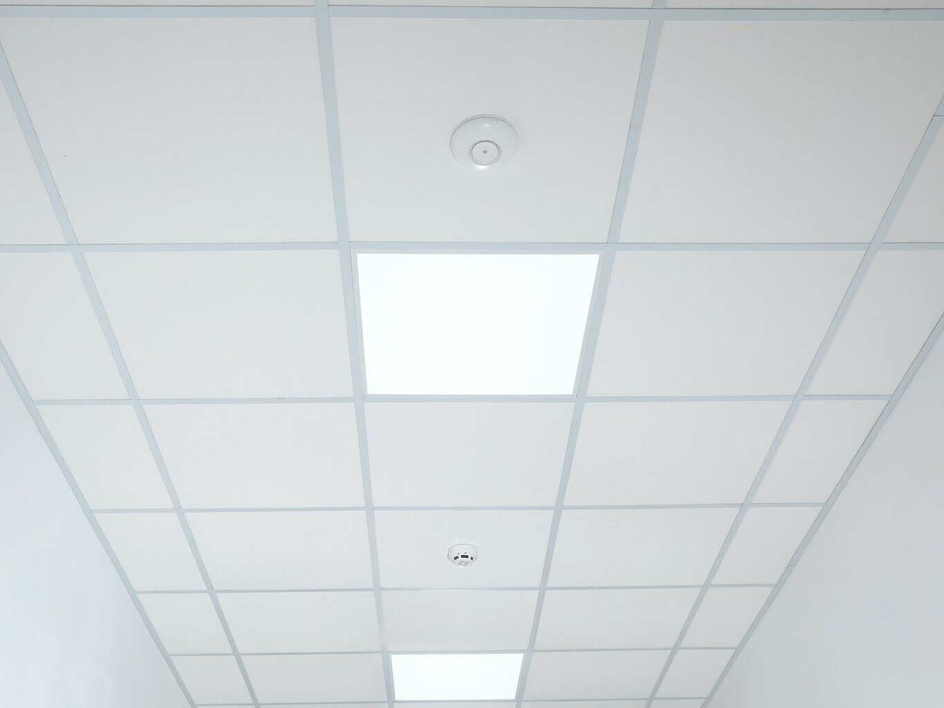 Eco-light LED-paneel, 50W, soe valge цена и информация | Süvistatavad ja LED valgustid | kaup24.ee