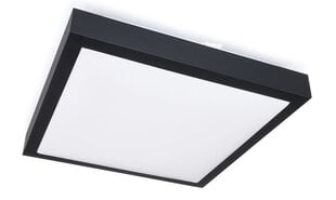 MasterLed LED-paneel, 18 W, neutraalne valge цена и информация | Монтируемые светильники, светодиодные панели | kaup24.ee