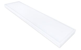 Koloreno LED paneel, 50 W, külm valge hind ja info | Süvistatavad ja LED valgustid | kaup24.ee
