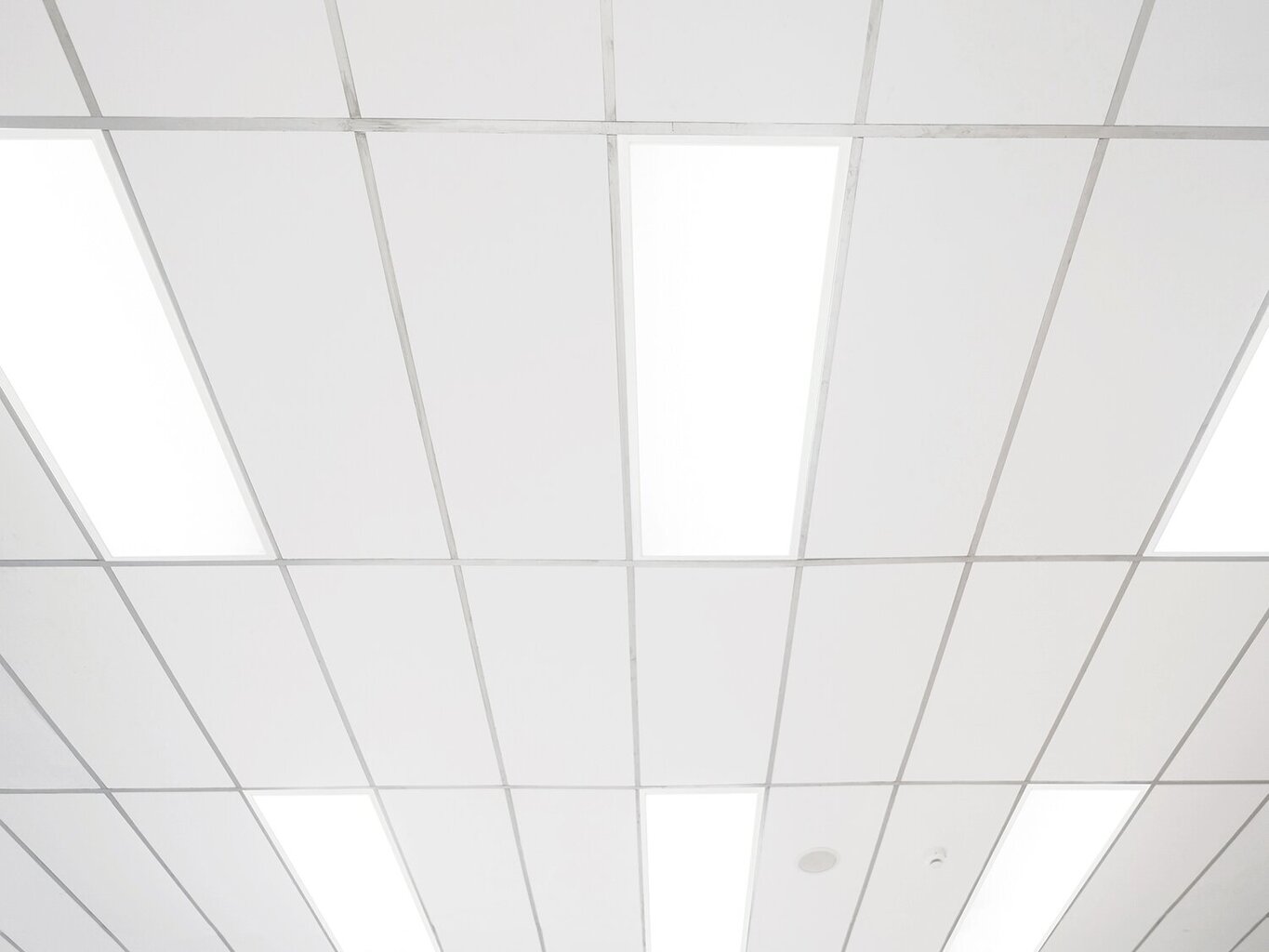 MasterLed LED-paneel, 48 W, neutraalne valge hind ja info | Süvistatavad ja LED valgustid | kaup24.ee