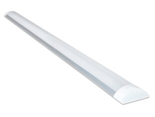LED Slim pindpaneel 36W 1,2m - hõbedane - neutraalne valge (4500K) hind ja info | Süvistatavad ja LED valgustid | kaup24.ee
