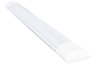 Koloreno LED-paneel, 18 W, neutraalne valge цена и информация | Монтируемые светильники, светодиодные панели | kaup24.ee