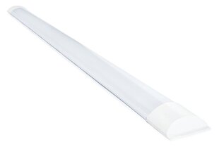 Koloreno LED paneel, 36 W, soe valge hind ja info | Süvistatavad ja LED valgustid | kaup24.ee