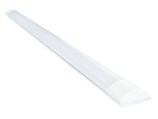 Koloreno LED-paneel, 36 W, neutraalne valge hind ja info | Süvistatavad ja LED valgustid | kaup24.ee
