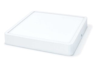 Koloreno LED-paneel, 24W, valge hind ja info | Süvistatavad ja LED valgustid | kaup24.ee