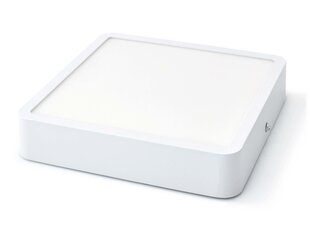 Koloreno LED-paneel, 18 W, neutraalne valge hind ja info | Süvistatavad ja LED valgustid | kaup24.ee
