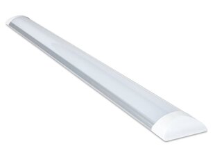 Koloreno LED paneel, 36 W, soe valge hind ja info | Süvistatavad ja LED valgustid | kaup24.ee