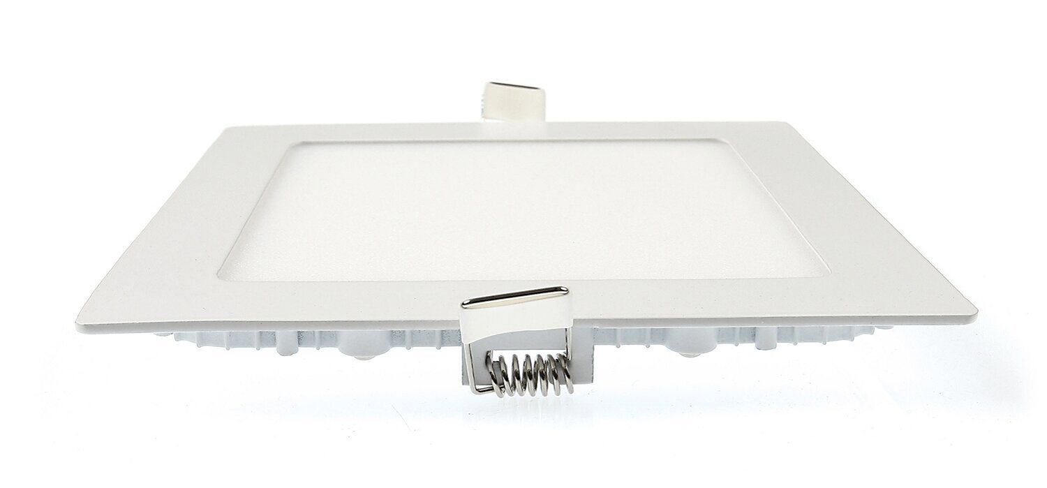 Koloreno LED paneel, 18 W, külm valge hind ja info | Süvistatavad ja LED valgustid | kaup24.ee