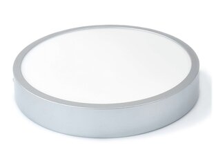 Koloreno LED-paneel, 24 W, neutraalne valge hind ja info | Süvistatavad ja LED valgustid | kaup24.ee