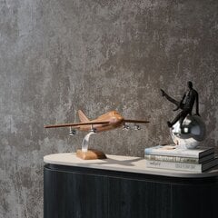 Декоративный объект Wood Plane, 25 см цена и информация | Детали интерьера | kaup24.ee
