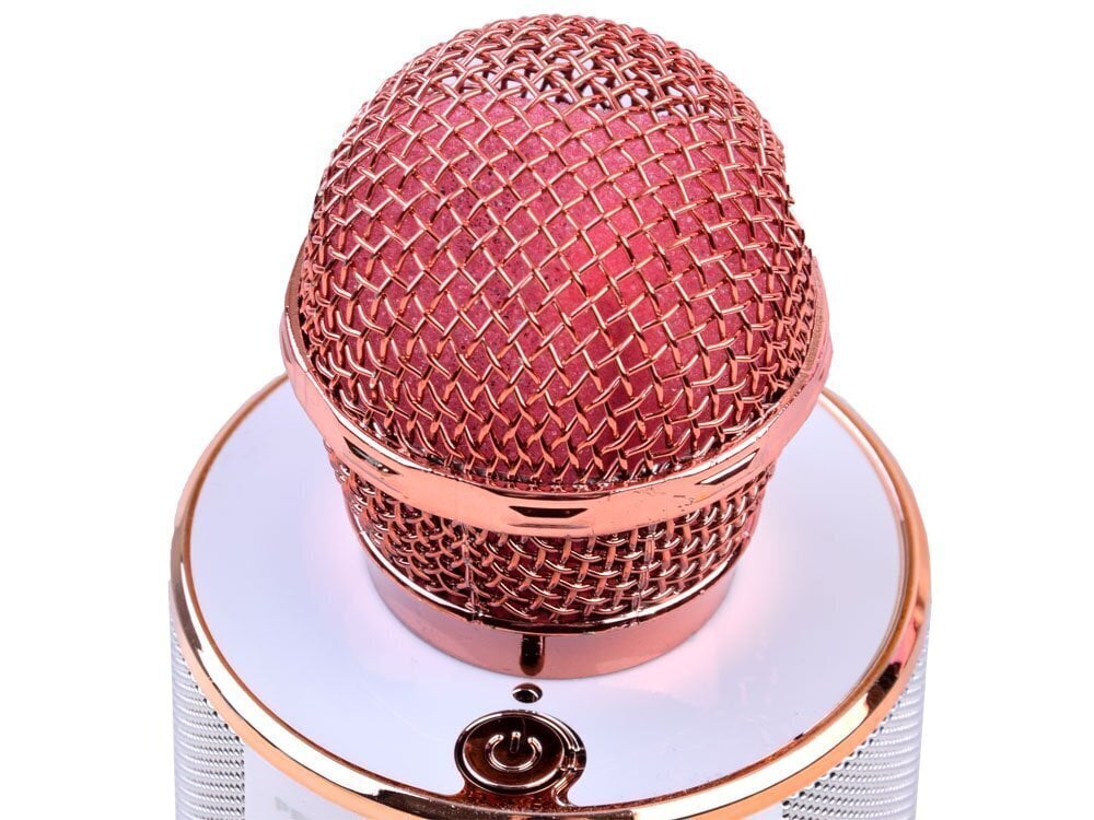 Juhtmeta karaokemikrofon koos kõlariga, roosa värv hind ja info | Arendavad mänguasjad | kaup24.ee