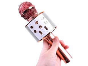 Беспроводной микрофон для караоке с динамиком, розовый цвет цена и информация | Развивающие игрушки | kaup24.ee