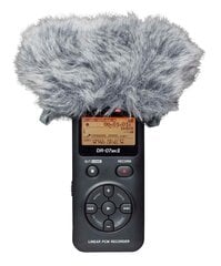 Tascam WS - 11 цена и информация | Принадлежности для музыкальных инструментов | kaup24.ee