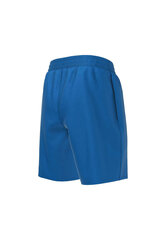 Lühikesed püksid poistele Nike NESSA779 494, sinine hind ja info | Poiste lühikesed püksid | kaup24.ee