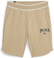 Puma Шорты Squad Shorts 9 Beige 678975 83 678975 83/S цена и информация | Мужские шорты | kaup24.ee