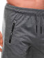 Lühikesed püksid meestele Edoti 125029-78, hall hind ja info | Meeste lühikesed püksid | kaup24.ee
