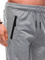 Lühikesed püksid meestele Edoti 125022-78, hall hind ja info | Meeste lühikesed püksid | kaup24.ee
