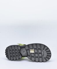 Sandaalid naistele TF'S 26237865 EIAP00004427, roheline hind ja info | Naiste sandaalid | kaup24.ee