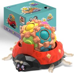 Игрушка для детей шар-головоломка Devolamn Magic Puzzle  цена и информация | Развивающие игрушки | kaup24.ee