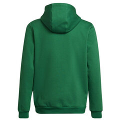 Dressipluus lastele Adidas Entrada 22 Hoody Y Jr HI2143, roheline цена и информация | Свитеры, жилетки, пиджаки для мальчиков | kaup24.ee