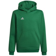 Dressipluus lastele Adidas Entrada 22 Hoody Y Jr HI2143, roheline цена и информация | Свитеры, жилетки, пиджаки для мальчиков | kaup24.ee