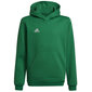 Dressipluus lastele Adidas Entrada 22 Hoody Y Jr HI2143, roheline цена и информация | Poiste kampsunid, vestid ja jakid | kaup24.ee